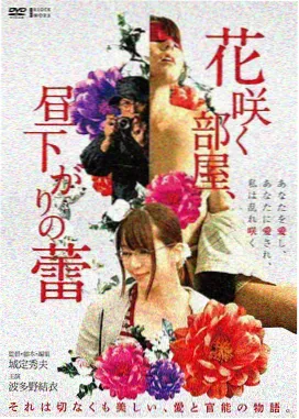 旧剧场版修复夜航西飞海报